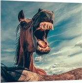 WallClassics - Acrylglas - Paard met Open Bek - 100x100 cm Foto op Acrylglas (Wanddecoratie op Acrylaat)
