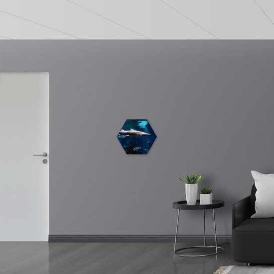 PVC Schuimplaat Hexagon - Tropische Vissen Zwemmend bij Wateroppervlak - 50x43.5 cm Foto op Hexagon (Met Ophangsysteem)