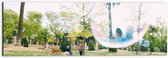 WallClassics - Dibond - Park met Palmbomen en Bellenblaas - 60x20 cm Foto op Aluminium (Wanddecoratie van metaal)