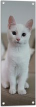 WallClassics - Tuinposter – Witte Kat Zittend op de Bank - 30x90 cm Foto op Tuinposter (wanddecoratie voor buiten en binnen)