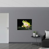 Poster Glanzend – Gifgroene Kikker met Grote Ogen op Donkergroen Blad - 100x75 cm Foto op Posterpapier met Glanzende Afwerking