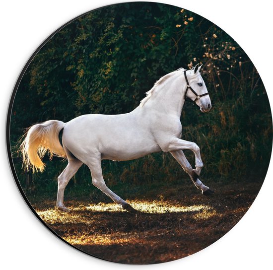WallClassics - Dibond Muurcirkel - Wit Rennend Paard in het Bos - 20x20 cm Foto op Aluminium Muurcirkel (met ophangsysteem)