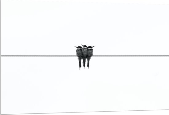 WallClassics - PVC Schuimplaat- Trio Vogels op Zwarte Lijn - 120x80 cm Foto op PVC Schuimplaat