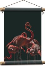 Textielposter - Groepje Flamingo's met Zwarte Achtergrond - 30x40 cm Foto op Textiel