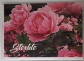 Sterkte! Een mooie kaart vol met roze bloemen. Erg leuk om aan iemand te geven om hem of haar een hart onder de riem te steken. Een dubbele wenskaart inclusief envelop en in folie verpakt.