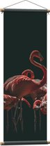 Textielposter - Groepje Flamingo's met Zwarte Achtergrond - 40x120 cm Foto op Textiel