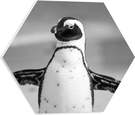 WallClassics - PVC Schuimplaat Hexagon - Pingiun met Gespreide Armen (Zwart, wit) - 40x34.8 cm Foto op Hexagon (Met Ophangsysteem)