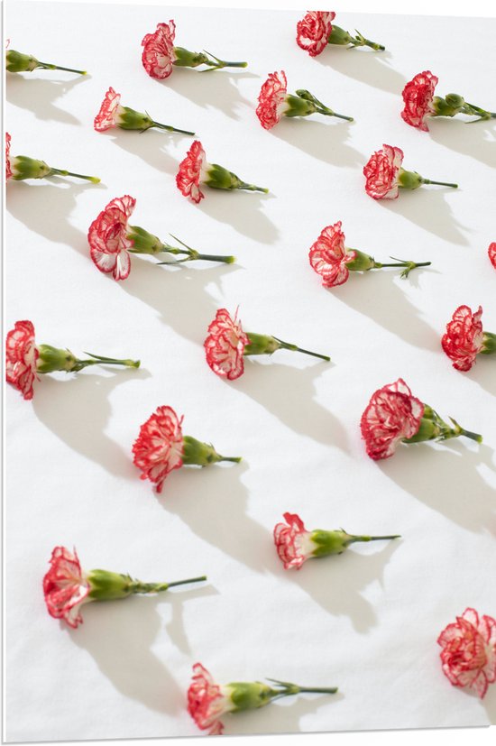PVC Schuimplaat- Patroon van Horizontale Roze Bloemen op Witte Achtergrond - 70x105 cm Foto op PVC Schuimplaat