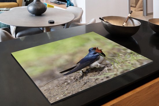 KitchenYeah® Inductie beschermer 77x51 cm - Een boerenzwaluw zittend op de grond - Kookplaataccessoires - Afdekplaat voor kookplaat - Inductiebeschermer - Inductiemat - Inductieplaat mat