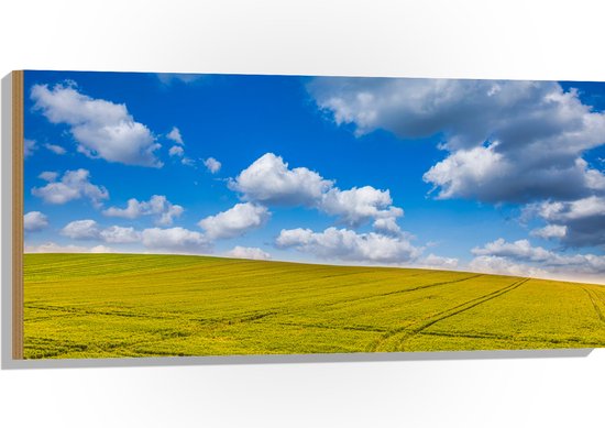 Hout - Groen Grasland met Blauwe Lucht - 100x50 cm - 9 mm dik - Foto op Hout (Met Ophangsysteem)