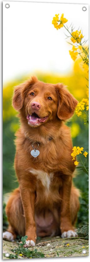 WallClassics - Tuinposter – Bruine Hond naast Gele Bloemen - 40x120 cm Foto op Tuinposter (wanddecoratie voor buiten en binnen)