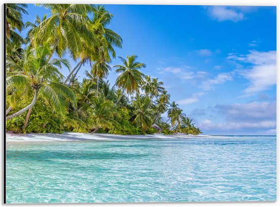 Dibond - Tropisch Strand met Palmbomen - 40x30 cm Foto op Aluminium (Met Ophangsysteem)