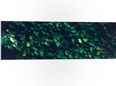 PVC Schuimplaat- Muur van Groene Bladeren - 90x30 cm Foto op PVC Schuimplaat