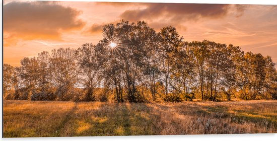 Dibond - Zonsondergang tussen de Bomen - 100x50 cm Foto op Aluminium (Wanddecoratie van metaal)