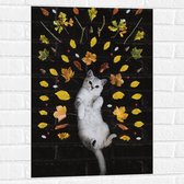 WallClassics - Muursticker - Liggende Kat omringt door Blaadjes - 50x75 cm Foto op Muursticker