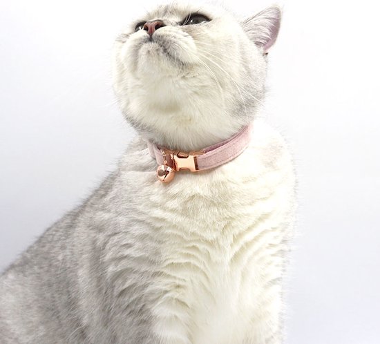 Buddy Box - Kattenhalsband - Velvet - Roze - Strikje - Katten - Katen - Halsband kat - Kattenkleding - Belletje - Buddy Box