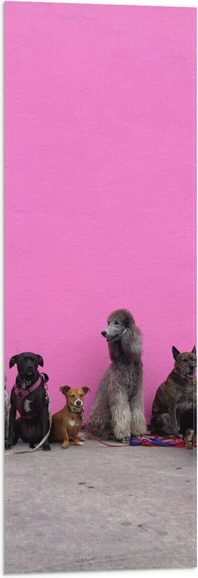 WallClassics - Vlag - Hondenfamilie tegen Roze Achtergrond - 30x90 cm Foto op Polyester Vlag