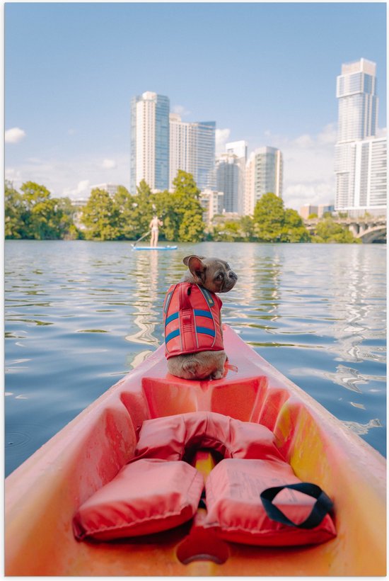 WallClassics - Poster (Mat) - Hondje met Zwemvest op een Boot - 40x60 cm Foto op Posterpapier met een Matte look