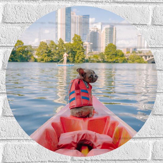 WallClassics - Muursticker Cirkel - Hondje met Zwemvest op een Boot - 50x50 cm Foto op Muursticker