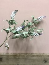 Marleyn Kunstbloem lavendel ca 50 cm (1 stuk) assorti - Kunsttak Lavendel