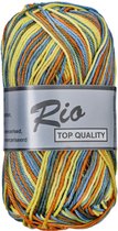 5 bollen Rio multi blauw geel 635 - gemêleerd haakkatoen