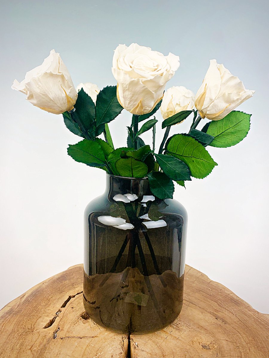 Longlife Rozenbos (5 stuks) incl. gratis vaas | Perfect als cadeau voor Valentijnsdag | Wit