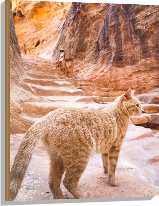Hout - Rode Kat Lopend door Rotsachtige Omgeving - 60x80 cm - 9 mm dik - Foto op Hout (Met Ophangsysteem)