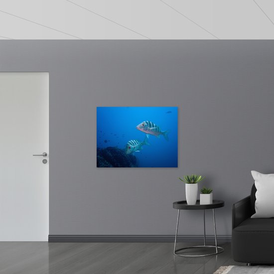 WallClassics - Poster Glanzend – Vissen in Blauw Water - 100x75 cm Foto op Posterpapier met Glanzende Afwerking