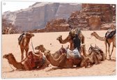 WallClassics - Tuinposter – Kamelen in de Woestijn - 120x80 cm Foto op Tuinposter (wanddecoratie voor buiten en binnen)