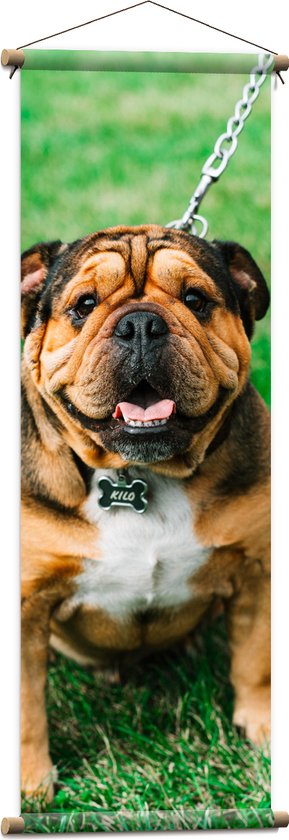 WallClassics - Textielposter - Portret van Bruine Engelse Bulldog - 40x120 cm Foto op Textiel