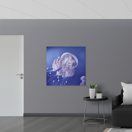 WallClassics - Panneau de mousse PVC - Méduses dans Water violette - Photo 100 x 100 cm sur panneau de mousse PVC