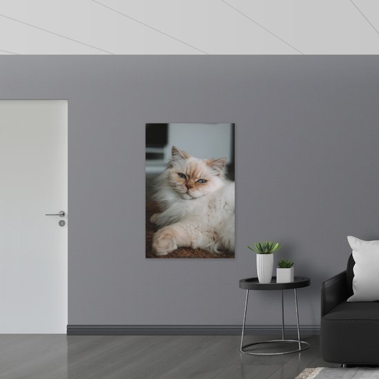 WallClassics - Bois - Chat Brun Couché aux Yeux Bleus - Chat de Himalaya - 80x120 cm - 9 mm d'épaisseur - Photo sur Bois (Avec Système d'Accrochage)