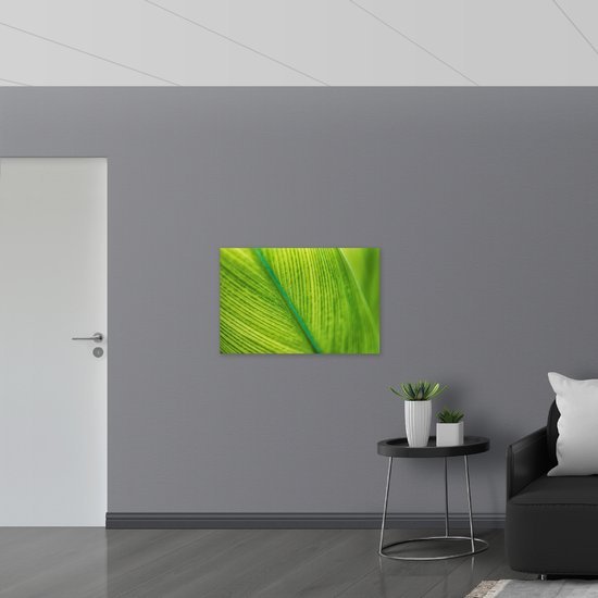 Poster (Mat) - Close-up van Groen Blad met Zichtbare Nerven - 90x60 cm Foto op Posterpapier met een Matte look
