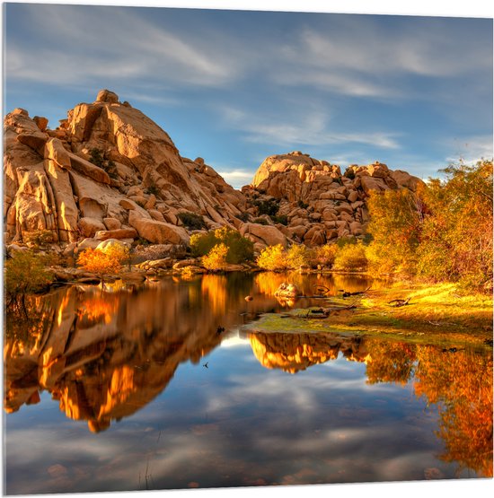 Acrylglas - Rotsen aan het Water bij Joshua Tree National Park - 100x100 cm Foto op Acrylglas (Wanddecoratie op Acrylaat)