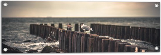 WallClassics - Tuinposter – Meeuwen op Houten Palen bij de Zee - 90x30 cm Foto op Tuinposter (wanddecoratie voor buiten en binnen)