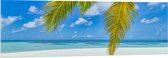 Acrylglas - Palmbladeren Hangend voor Tropisch Eiland met Breed Strand - 150x50 cm Foto op Acrylglas (Met Ophangsysteem)