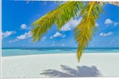 Acrylglas - Palmbladeren Hangend voor Tropisch Eiland met Breed Strand - 60x40 cm Foto op Acrylglas (Met Ophangsysteem)