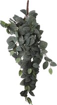 Mica Decorations Fittonia Kunst Hangplant - L15 x B20 x H54 cm - Groen