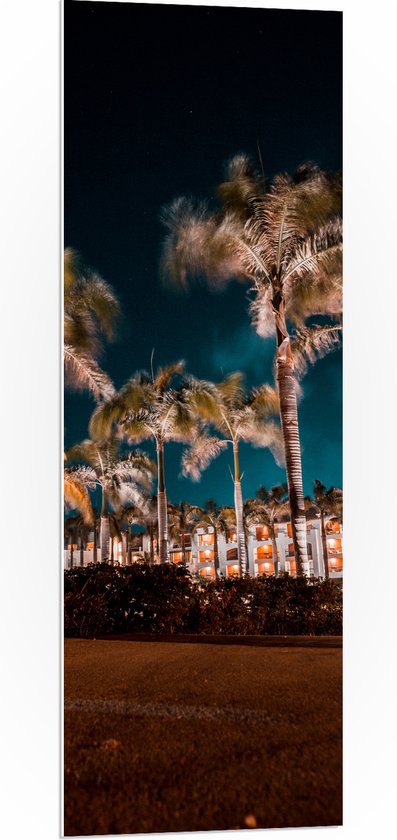 PVC Schuimplaat- Verlichte Palmbomen in Nacht - 40x120 cm Foto op PVC Schuimplaat