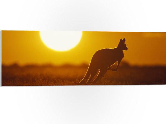 PVC Schuimplaat- Zonsondergang Silhouet van een Kangoeroe - 90x30 cm Foto op PVC Schuimplaat