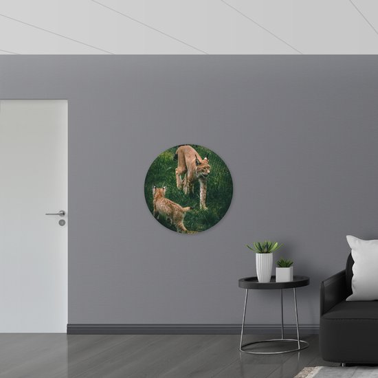 WallClassics - Muursticker Cercle - Bébé lynx avec sa mère derrière une clôture - Photo 80x80 cm sur Muursticker