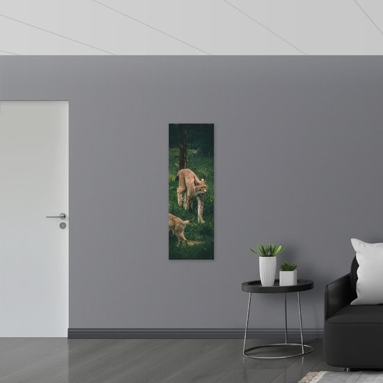 WallClassics - Muursticker - Bébé lynx avec sa mère derrière une clôture - Photo 40x120 cm sur Muursticker