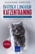 Britisch Langhaar Katzentraining - Ratgeber zum Trainieren einer Katze der Britisch Langhaar Rasse