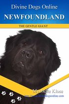 Divine Dogs Online 1 - Newfoundland Dog