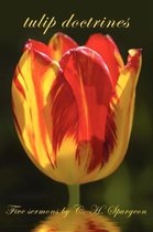tulip doctrines