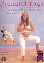 Prenatal Yoga For Conception, Pregnancy And Birth