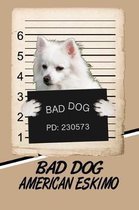 Bad Dog American Eskimo