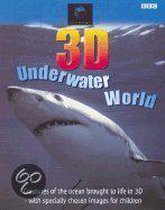 3-D Underwater World