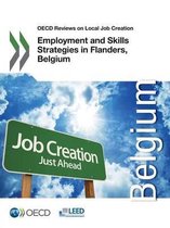 Employment and skills strategies in Flanders, Belgium