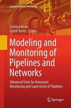 Modeling and Monitoring of Pipelines and Networks